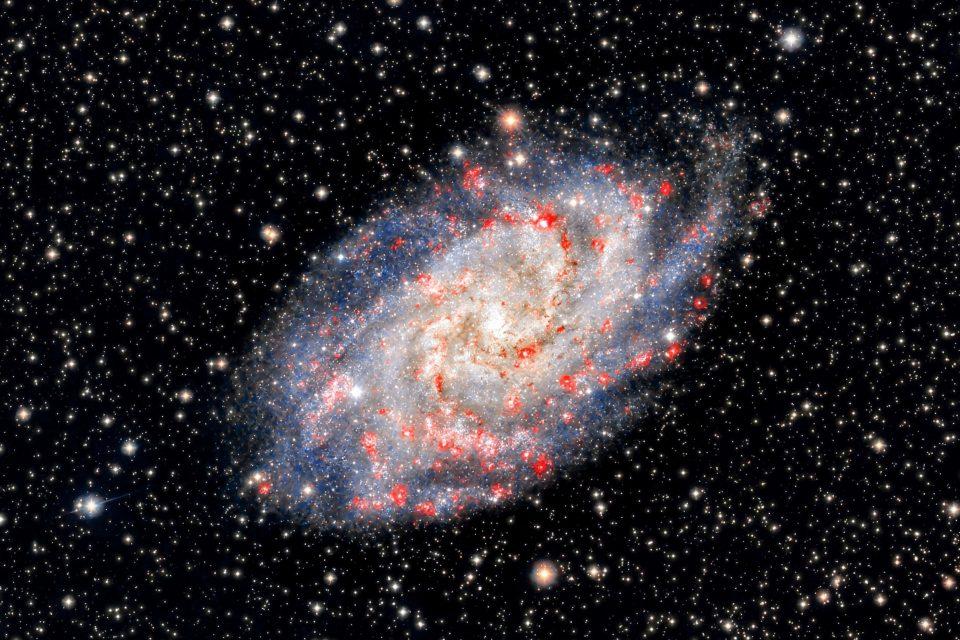 Messier 33: The unusual galaxy without a central black hole