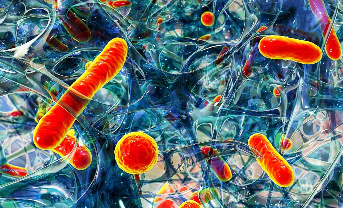 Arctic Sea microbes show promise as new antibiotic drugs