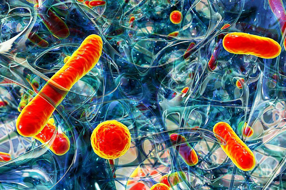 Arctic Sea microbes show promise as new antibiotic drugs
