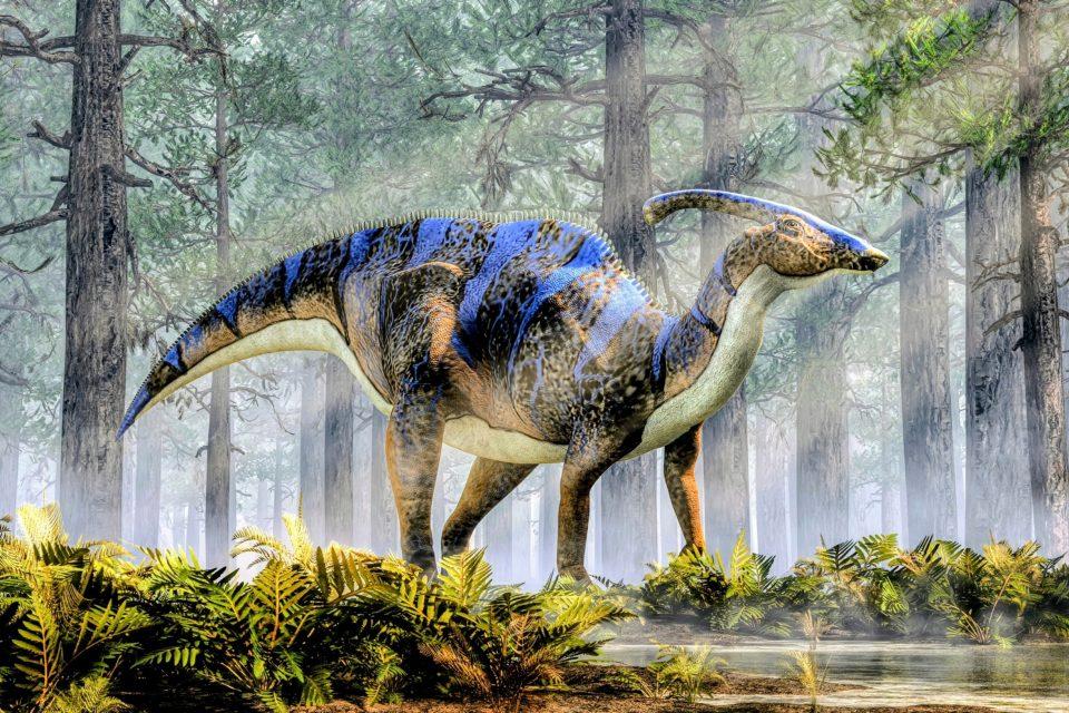 Some plant-eating dinosaurs chewed through thousands of teeth