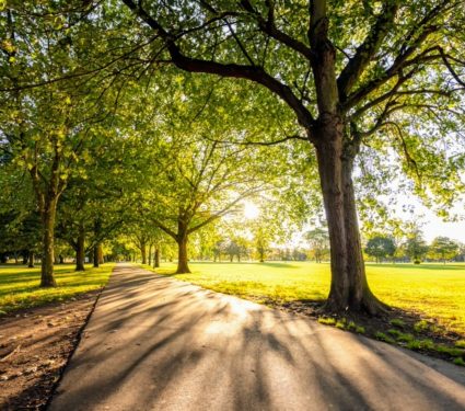 2024/09/Urban-green-spaces2.jpg