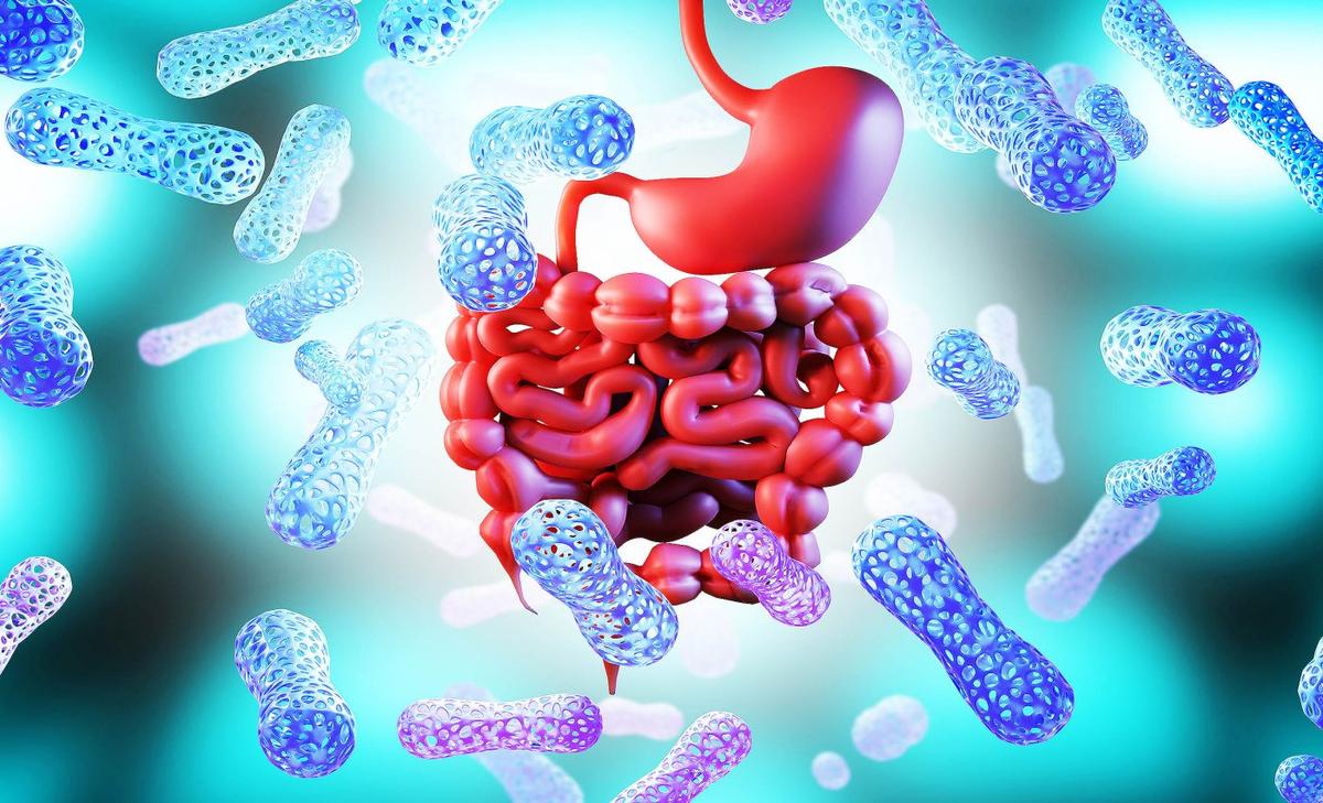 New tool detects changes in gut health to help prevent disease - Earth.com
