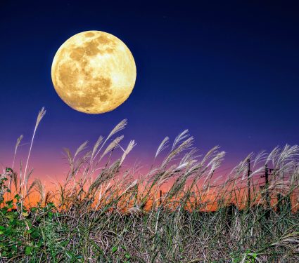 2024/09/Harvest-Moon.jpg