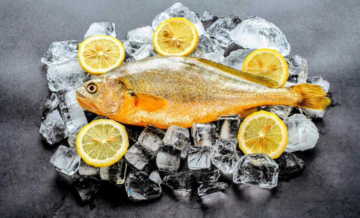 Seafood spoilage: Hidden dangers in the cold chain