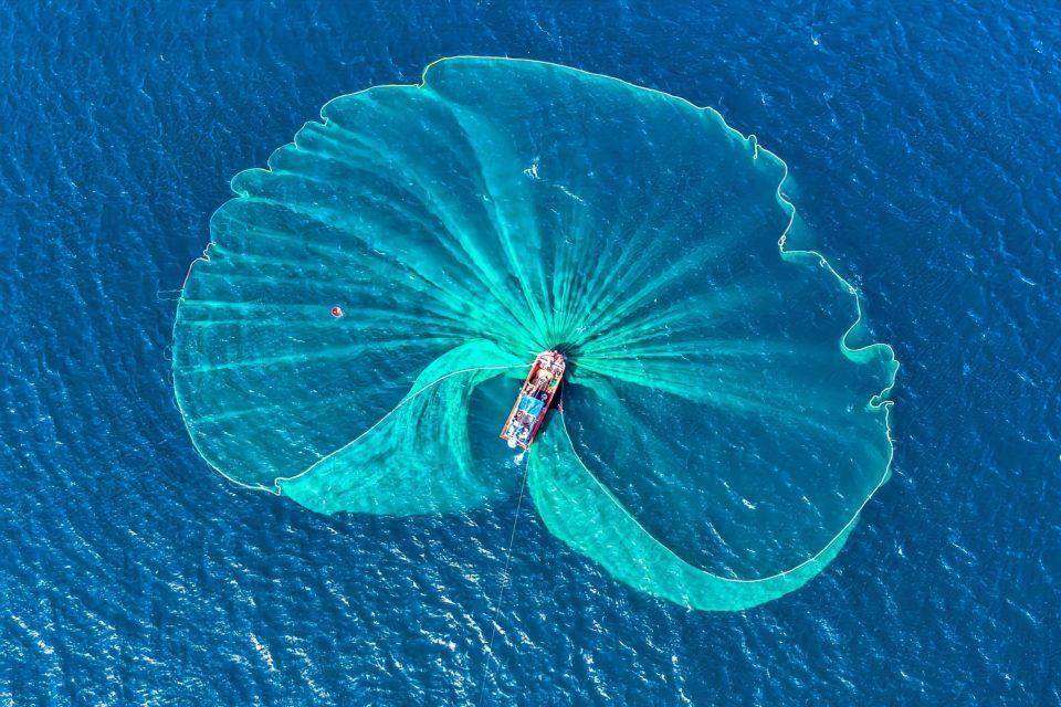 ‘Sustainable fishing’ must be redefined to halt ocean destruction