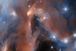 Stellar nursery shines in the Perseus cloud