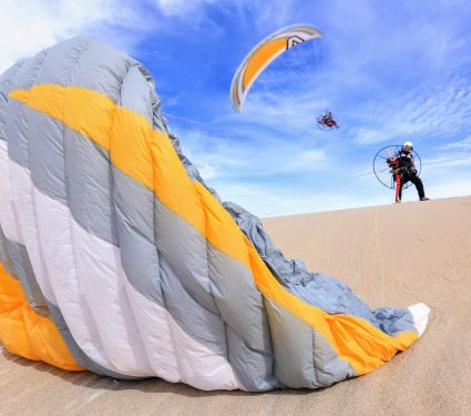 2024/09/Paramotoring-plants.jpg