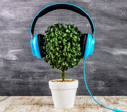 2024/10/Music-plants.jpg