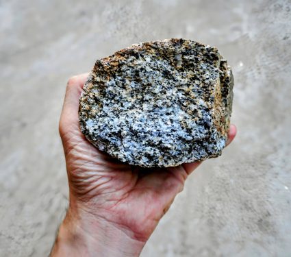 2024/10/Microbes-rocks.jpg