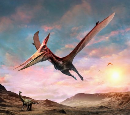 2024/10/Pterosaurs-land.jpg