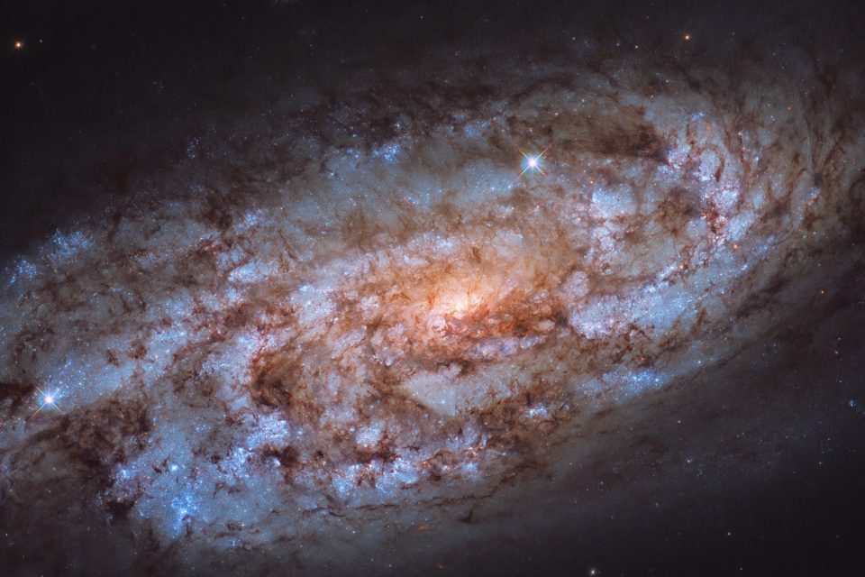 Starburst galaxy in the constellation Columba