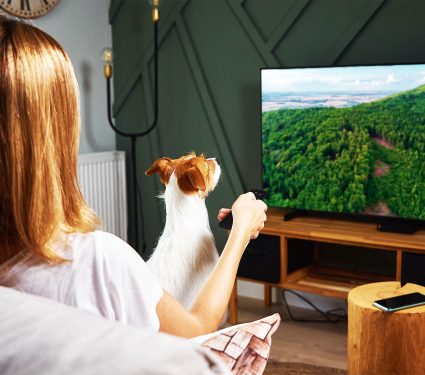 2024/10/dogs_evolving_match-human-lives_1m.jpg
