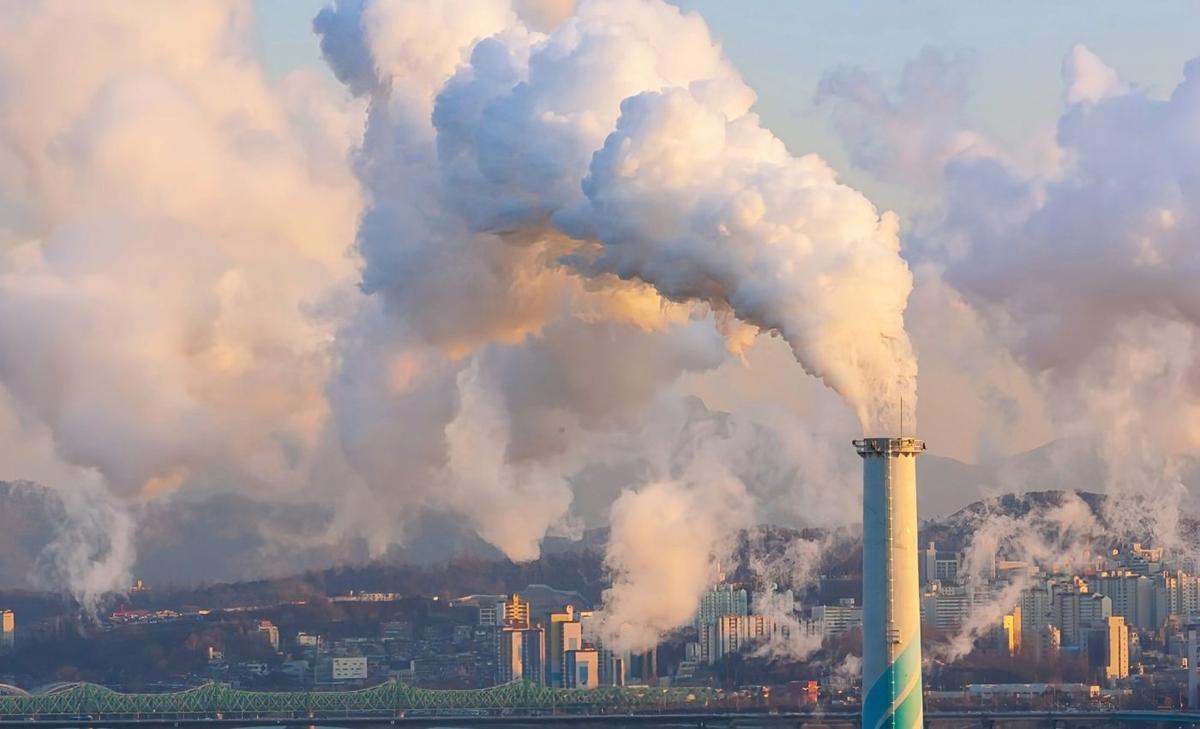 Air pollution exposure slows down the brain's processing speed