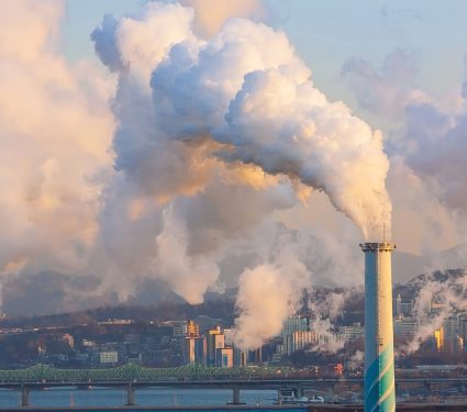 2024/10/Air-pollution-brain.jpg