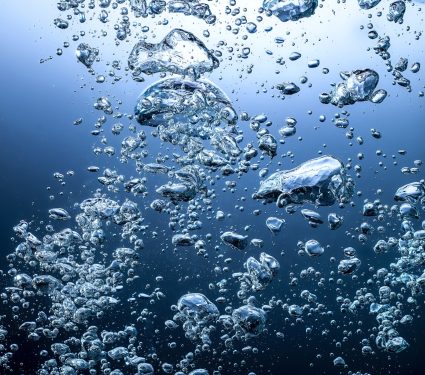 2024/10/Seabed-climate.jpg
