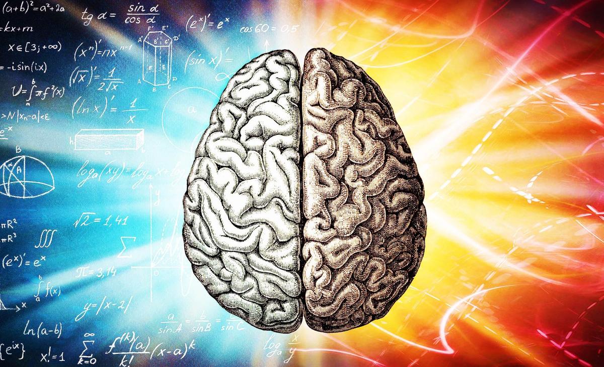 Secrets of learning: How our brains make and retrieve memories