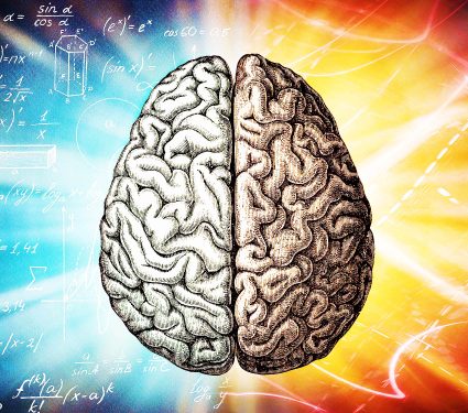 2024/10/learning_memory_human-brain_1m.jpg