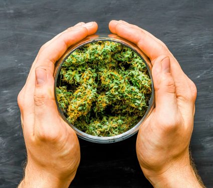 2024/10/Cannabis-brain-structure.jpg