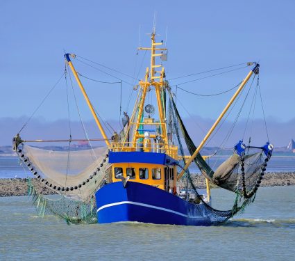 2024/11/Trawling-climate.jpg