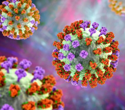 2024/11/Seasonal-flu.jpg