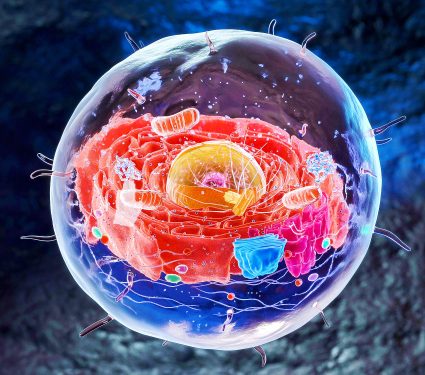 2024/11/boring-billion_complex-life-shift_1m.jpg