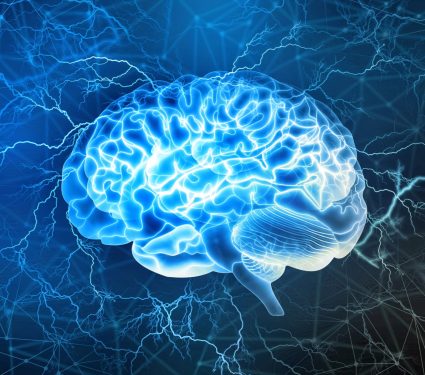 2024/11/Physical-activity-brain.jpg