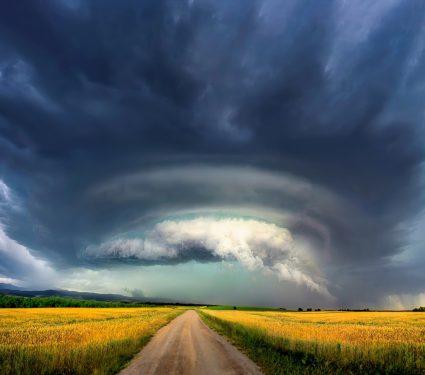 2024/11/electric-fields-weather.jpg