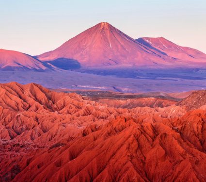 2024/11/Desert-microbes.jpg
