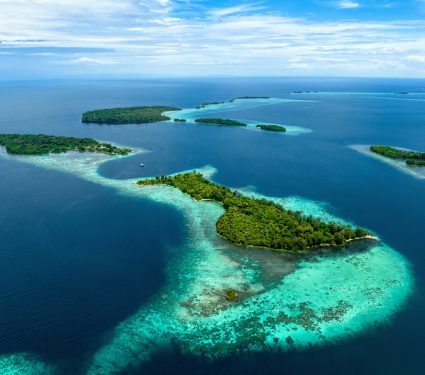 2024/11/Coral-Solomon-Islands.jpg