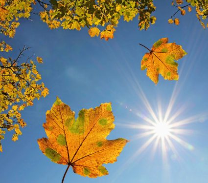 2024/11/October-temperature.jpg