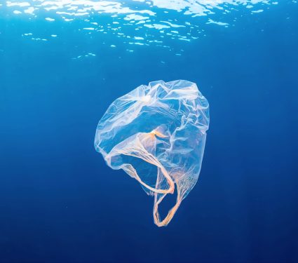 2024/11/Bioplastic.jpg