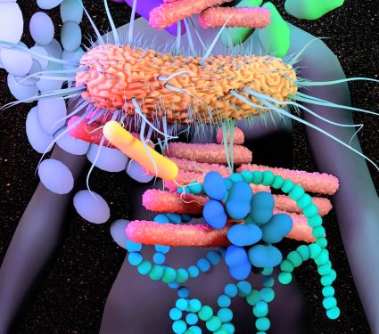 2024/11/Microbes-evolution2.jpg