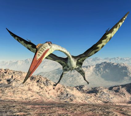 2024/11/Pterosaur-fossil.jpg