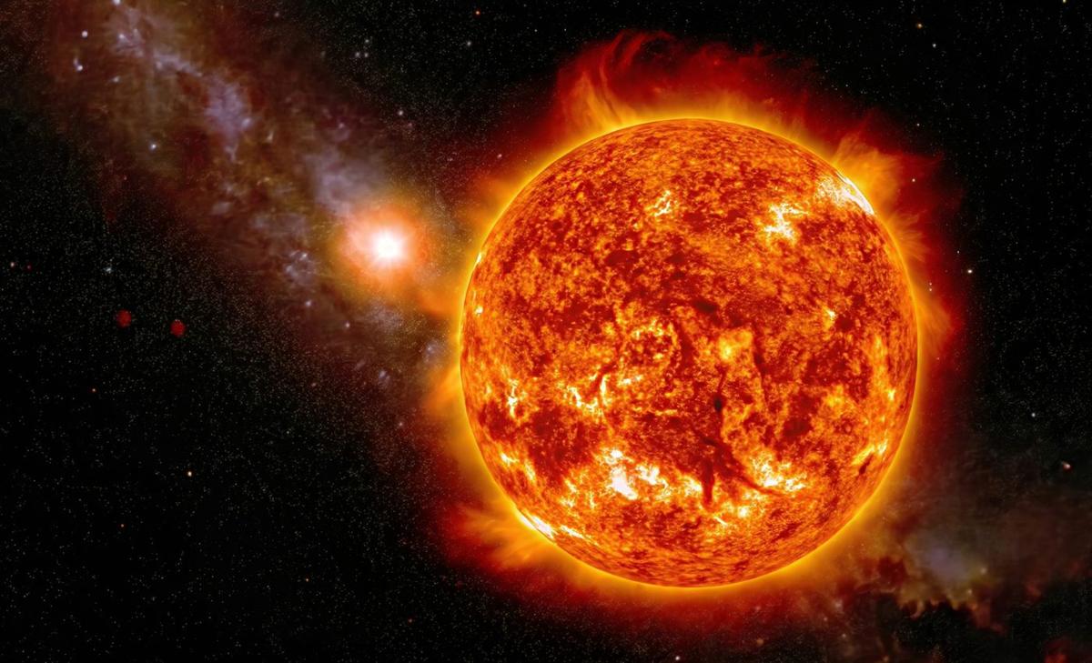 Trees hold evidence of one of Earth's most extreme solar storms