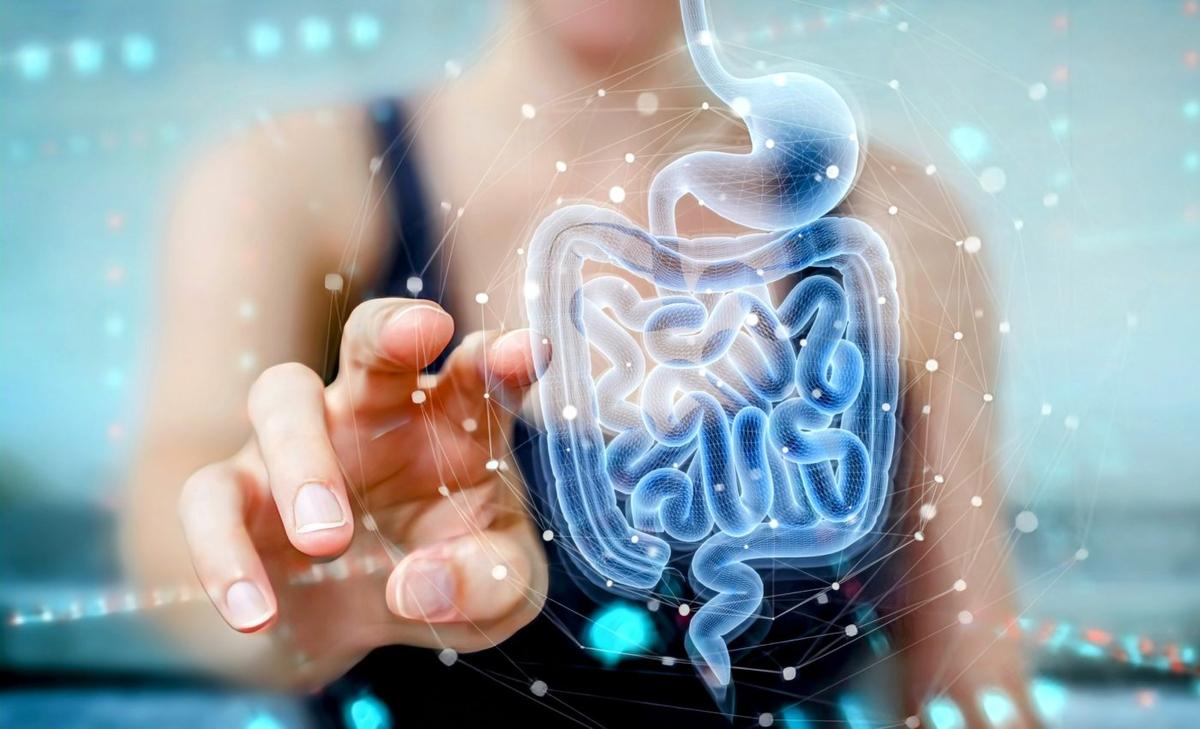 Map of 1.6 million gut cells will reveal new ways to treat disease