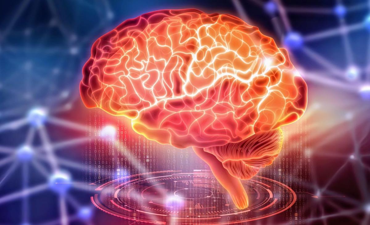 How sleep transforms brain performance