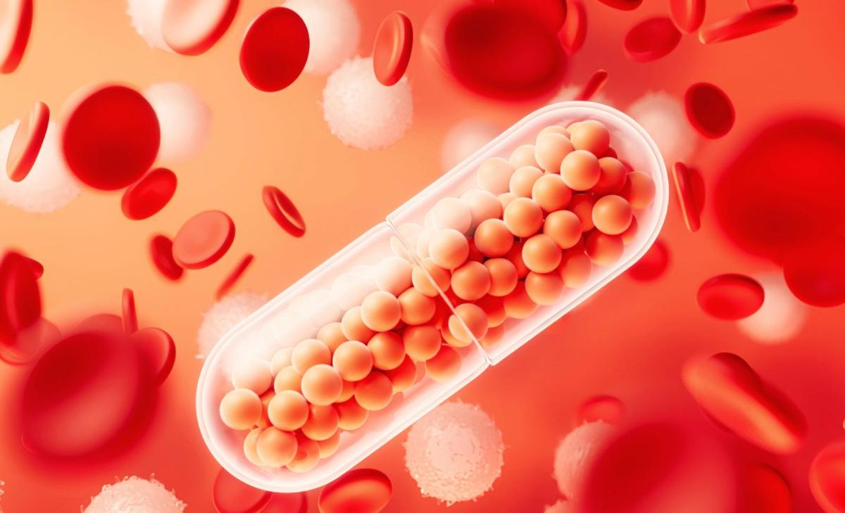 Nanoplastics can alter the course of antibiotics in our body