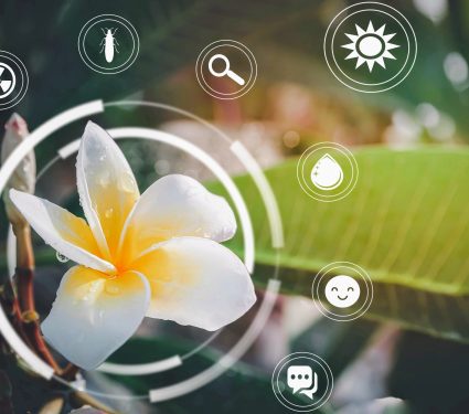 2024/11/Plant-sensor.jpg