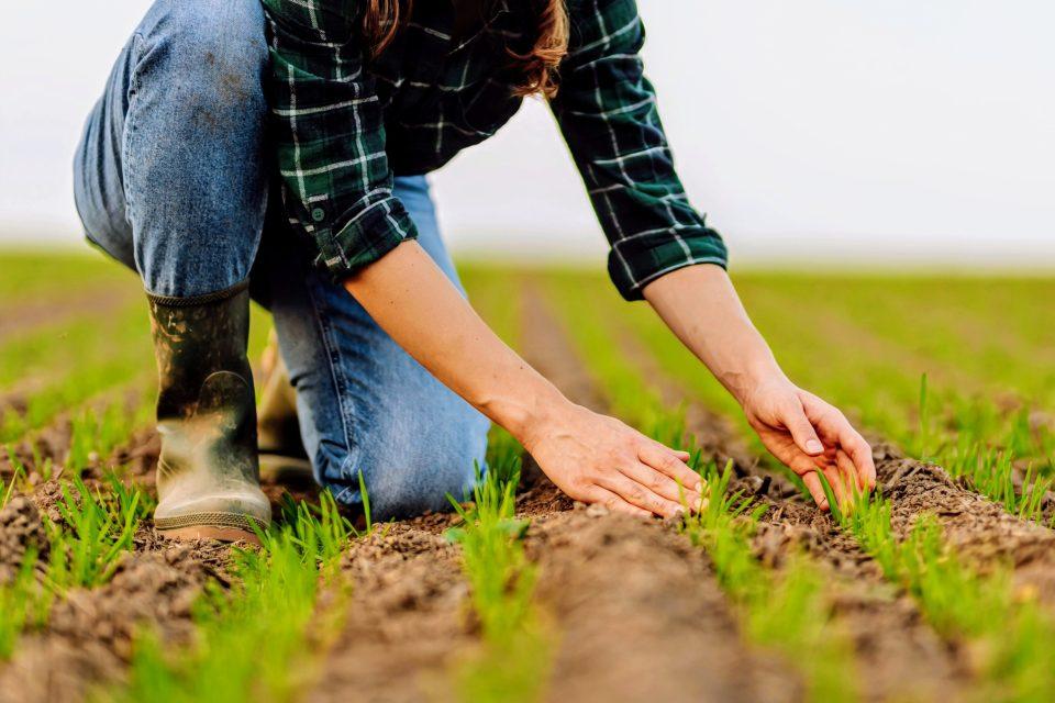 Transformative action needed to feed the world in a warmer climate