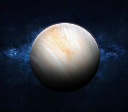 2024/12/Life-Venus-.jpg