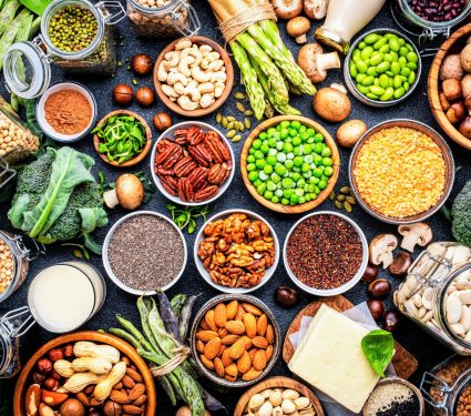 2024/12/Plant-protein.jpg