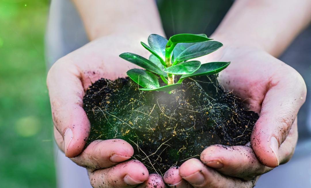 World Soil Day 2024 Protecting our lifeline