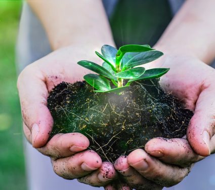 2024/12/World-Soil-Day.jpg