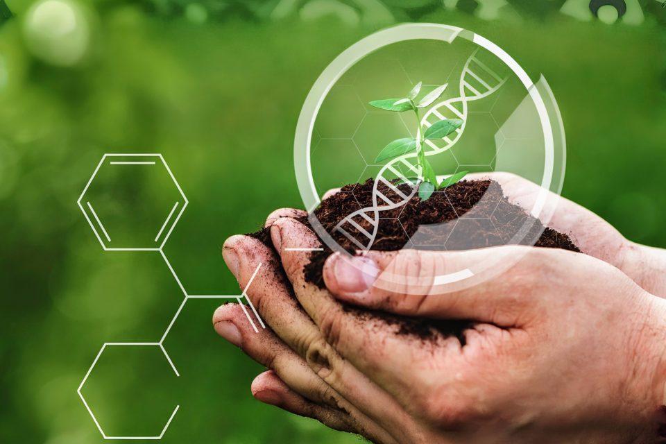 Creating resilient crops to cope with the climate crisis
