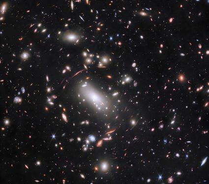 2024/12/Firefly-Sparkle.jpg