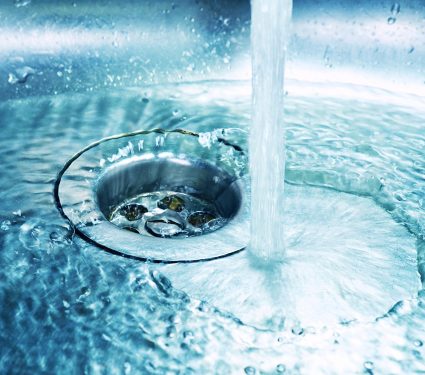 2024/12/Microbiome-plumbing.jpg
