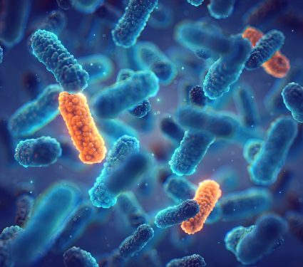 2024/12/Soil-antibiotic-resistance.jpg