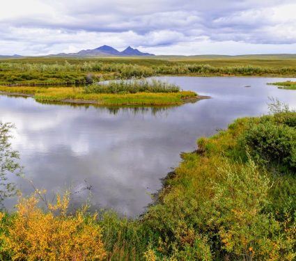 2024/12/Permafrost-carbon.jpg