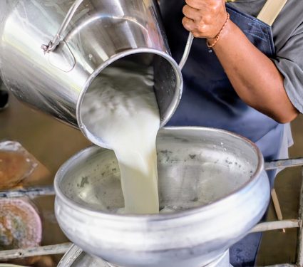 2024/12/Raw-milk-flu.jpg
