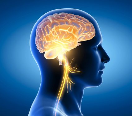2024/12/Vagus-nerve-depression.jpg